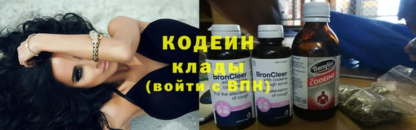 хмурый Ладушкин