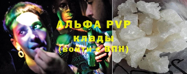 хмурый Ладушкин