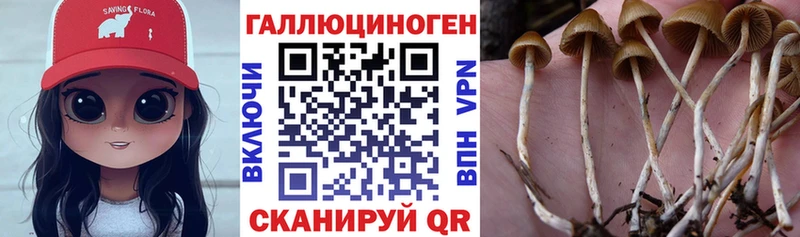 цены   гидра зеркало  Псилоцибиновые грибы Cubensis  Бирск 